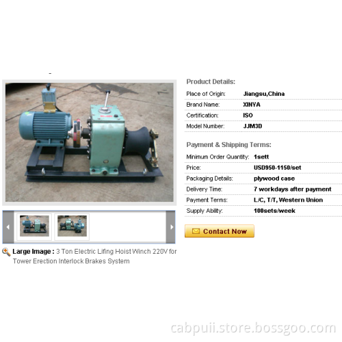 3 Ton Electric Lifing Hoist Winch 220V for Tower Erection Interlock Brakes System